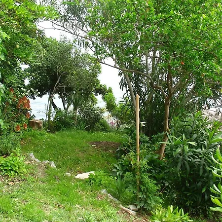 Guest house & Paula 3*