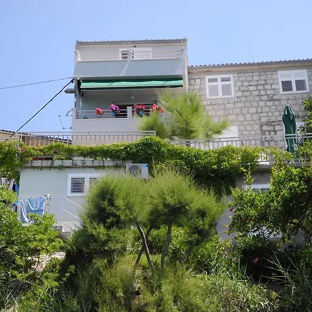 Guest house & Paula
