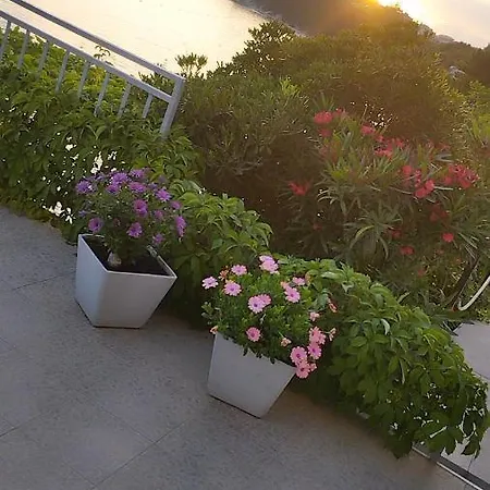 Guest house & Paula 3*